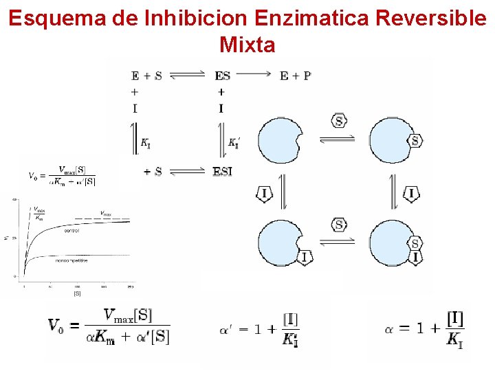 Esquema de Inhibicion Enzimatica Reversible Mixta 