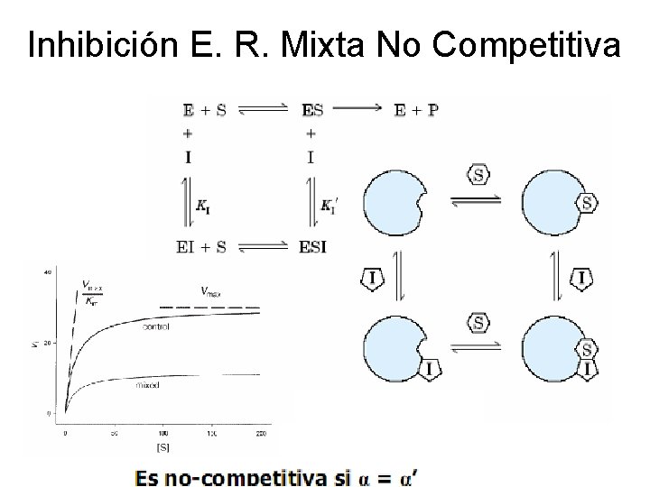 Inhibición E. R. Mixta No Competitiva 