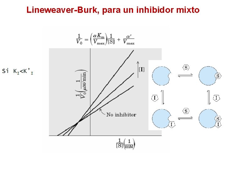 Lineweaver-Burk, para un inhibidor mixto 