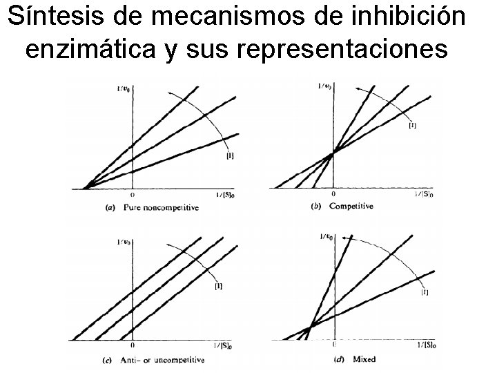 Síntesis de mecanismos de inhibición enzimática y sus representaciones 