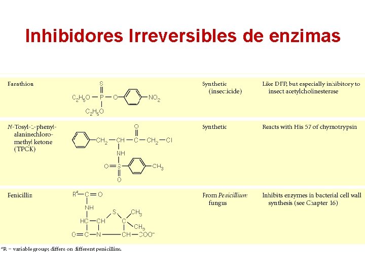 Inhibidores Irreversibles de enzimas 