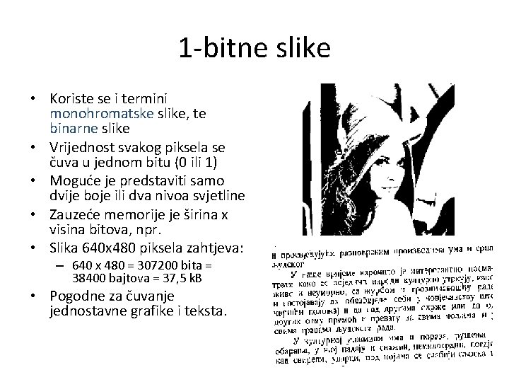 1 -bitne slike • Koriste se i termini monohromatske slike, te binarne slike •