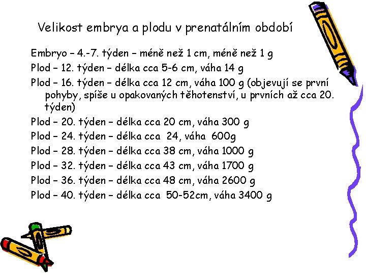 Velikost embrya a plodu v prenatálním období Embryo – 4. -7. týden – méně