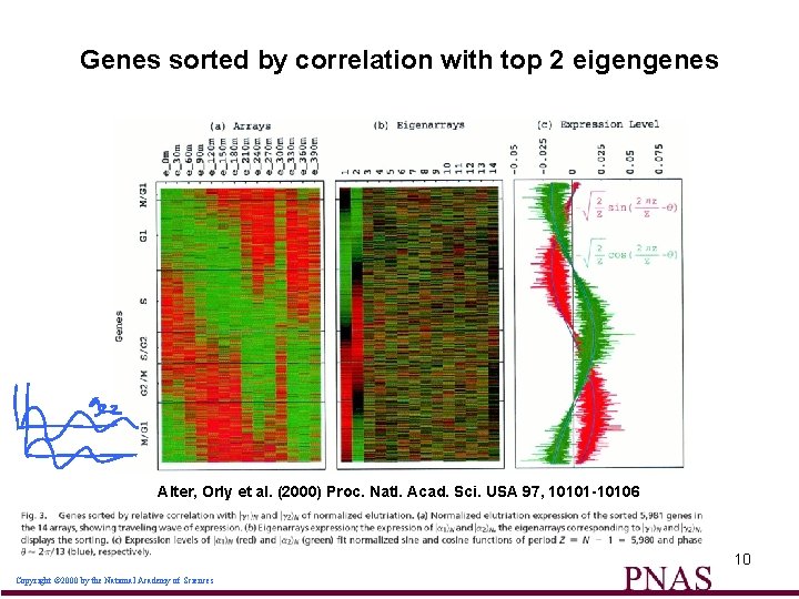 Genes sorted by correlation with top 2 eigengenes Alter, Orly et al. (2000) Proc.