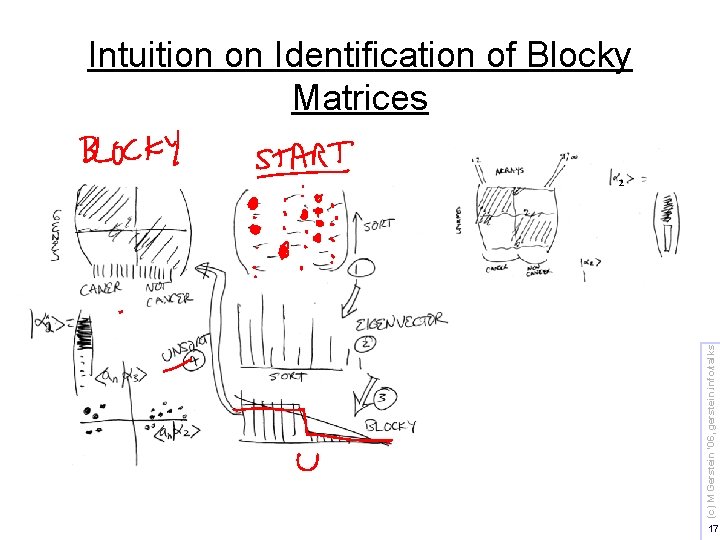 Intuition on Identification of Blocky Matrices (c) M Gerstein '06, gerstein. info/talks 2 17