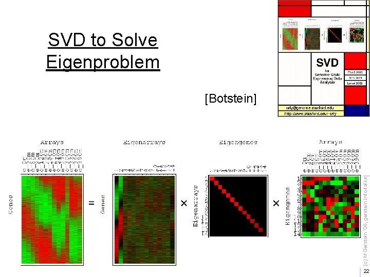 (c) M Gerstein '06, gerstein. info/talks SVD to Solve Eigenproblem [Botstein] 22 