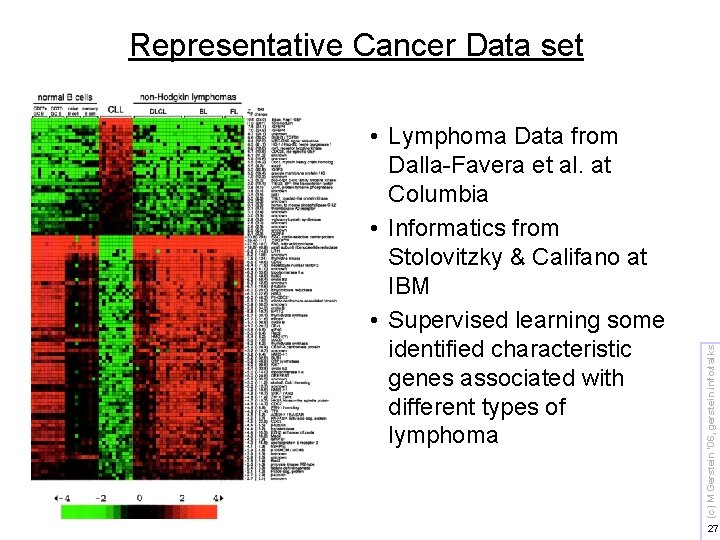  • Lymphoma Data from Dalla-Favera et al. at Columbia • Informatics from Stolovitzky