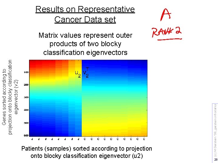 Results on Representative Cancer Data set Patients (samples) sorted according to projection onto blocky