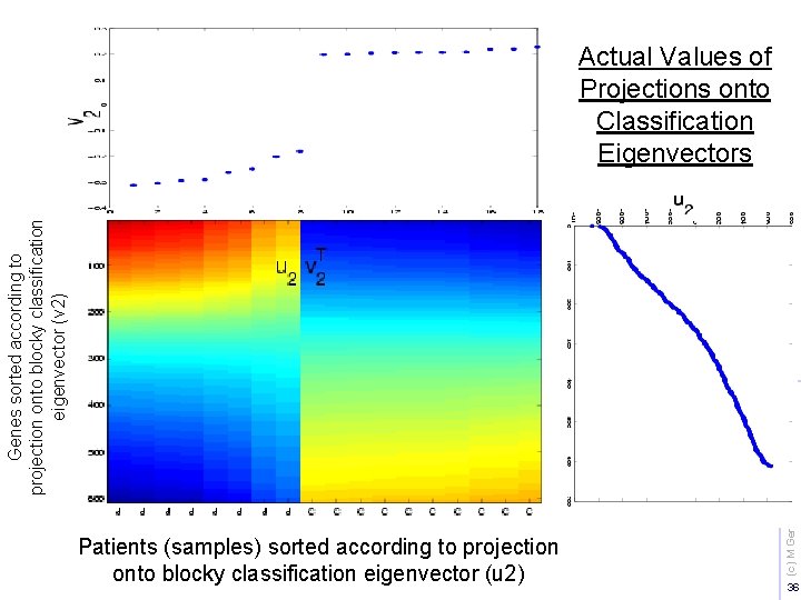 Patients (samples) sorted according to projection onto blocky classification eigenvector (u 2) (c) M