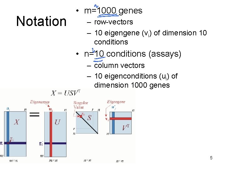 Notation • m=1000 genes – row-vectors – 10 eigengene (vi) of dimension 10 conditions