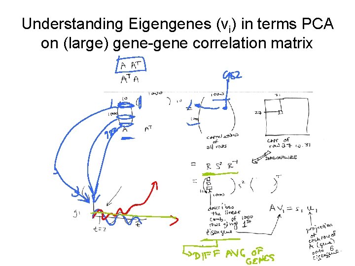 Understanding Eigengenes (vi) in terms PCA on (large) gene-gene correlation matrix 6 