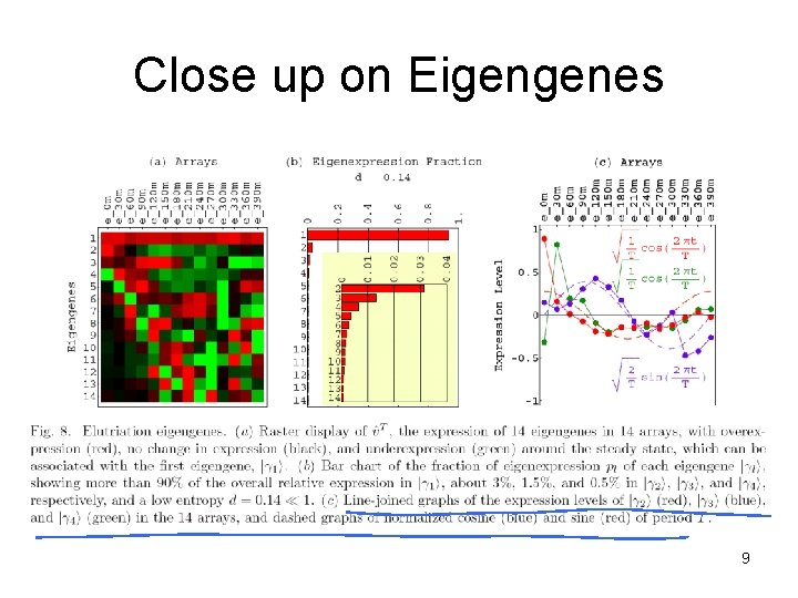 Close up on Eigengenes 9 