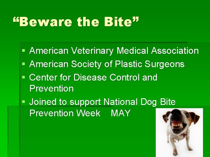 “Beware the Bite” § § § American Veterinary Medical Association American Society of Plastic