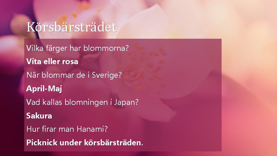 Körsbärsträdet Vilka färger har blommorna? Vita eller rosa När blommar de i Sverige? April-Maj