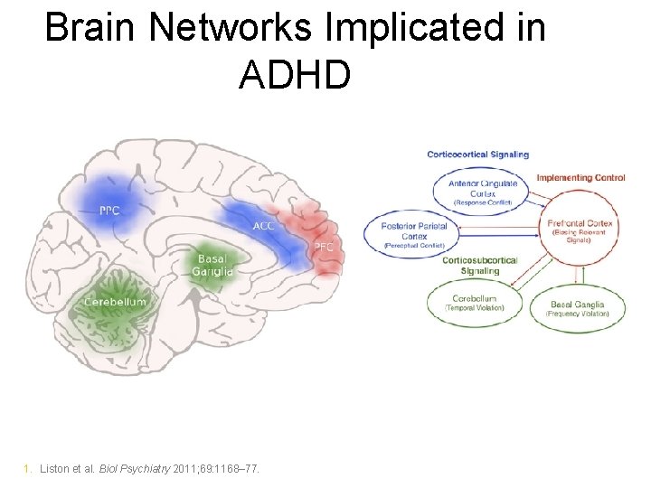 Brain Networks Implicated in ADHD 1. Liston et al. Biol Psychiatry 2011; 69: 1168–