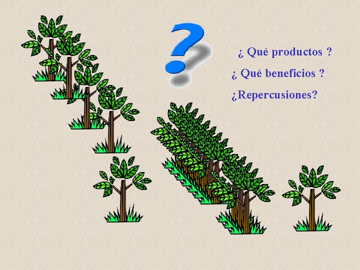 ¿ Qué productos ? ¿ Qué beneficios ? ¿Repercusiones? 