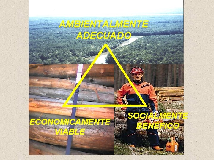 AMBIENTALMENTE ADECUADO ECONOMICAMENTE VIABLE SOCIALMENTE BENÉFICO 