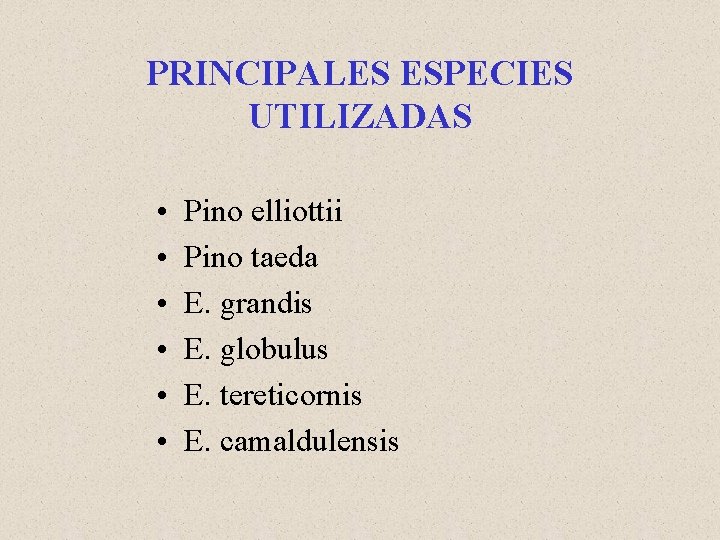 PRINCIPALES ESPECIES UTILIZADAS • • • Pino elliottii Pino taeda E. grandis E. globulus