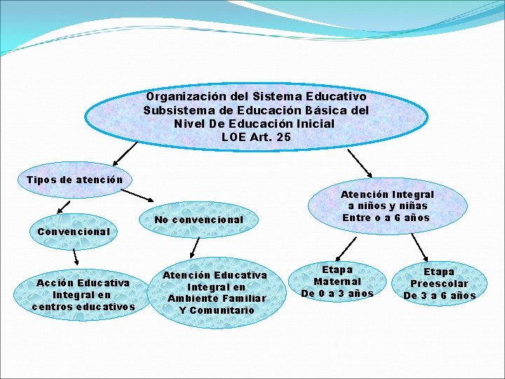 Organización del Sistema Educativo Subsistema de Educación Básica del Nivel De Educación Inicial LOE
