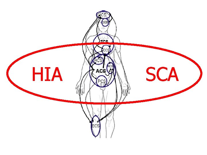 HIA SCA 