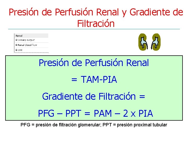 Presión de Perfusión Renal y Gradiente de Filtración Presión de Perfusión Renal = TAM-PIA
