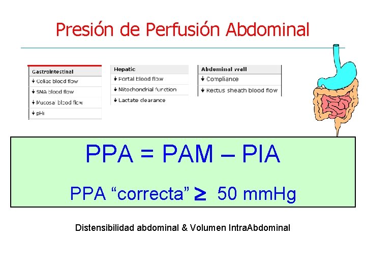 Presión de Perfusión Abdominal PPA = PAM – PIA PPA “correcta” 50 mm. Hg