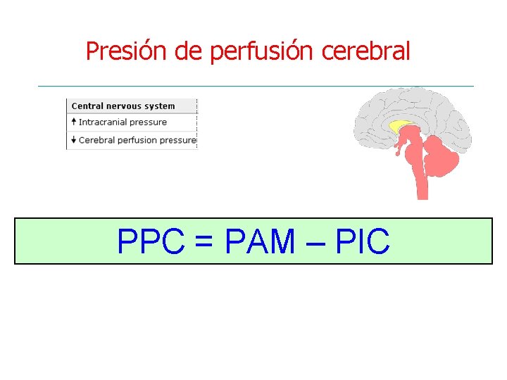 Presión de perfusión cerebral PPC = PAM – PIC 