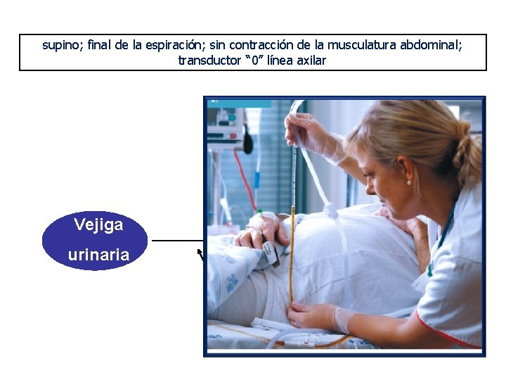 supino; final de la espiración; sin contracción de la musculatura abdominal; transductor “ 0”