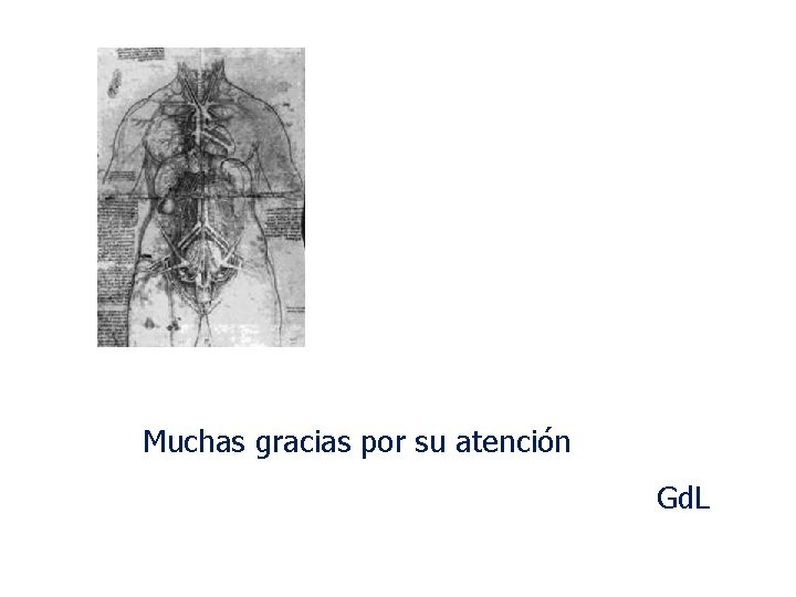 Muchas gracias por su atención Gd. L 