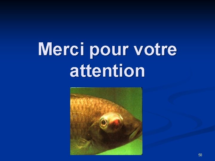 Merci pour votre attention 58 