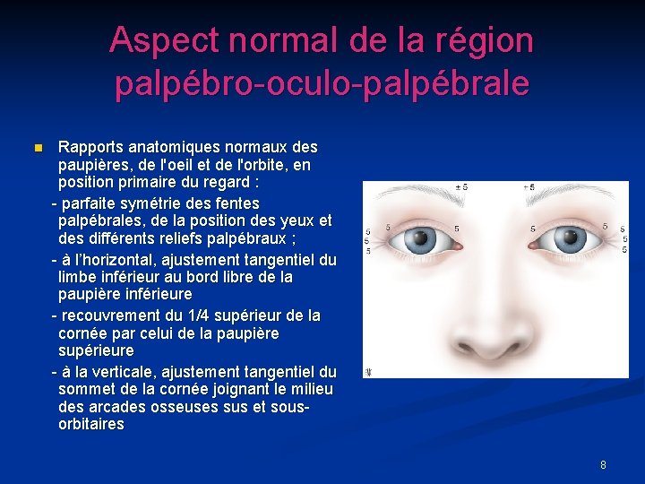 Aspect normal de la région palpébro-oculo-palpébrale Rapports anatomiques normaux des paupières, de l'oeil et