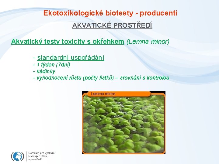 Ekotoxikologické biotesty - producenti AKVATICKÉ PROSTŘEDÍ Akvatický testy toxicity s okřehkem (Lemna minor) -