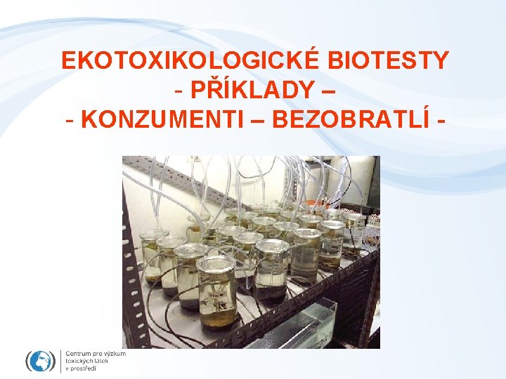 EKOTOXIKOLOGICKÉ BIOTESTY - PŘÍKLADY – - KONZUMENTI – BEZOBRATLÍ - 