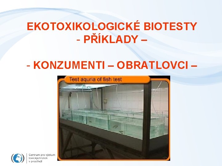 EKOTOXIKOLOGICKÉ BIOTESTY - PŘÍKLADY – - KONZUMENTI – OBRATLOVCI – 