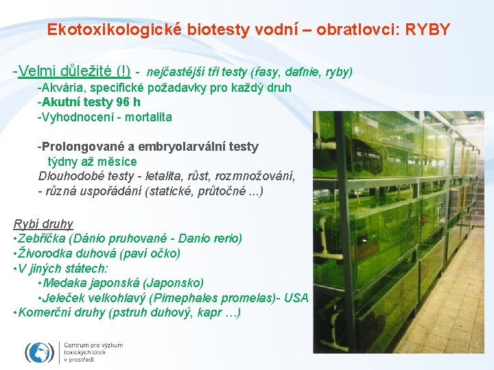 Ekotoxikologické biotesty vodní – obratlovci: RYBY -Velmi důležité (!) - nejčastější tři testy (řasy,
