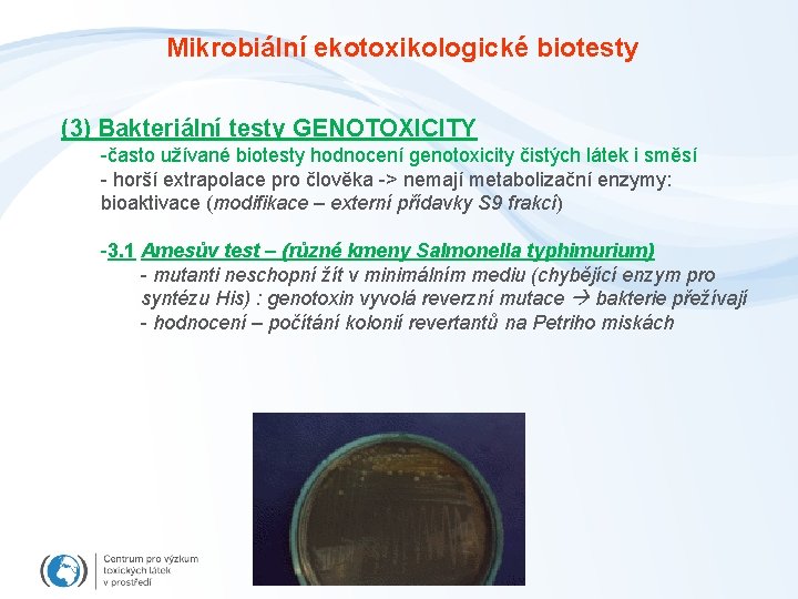 Mikrobiální ekotoxikologické biotesty (3) Bakteriální testy GENOTOXICITY -často užívané biotesty hodnocení genotoxicity čistých látek