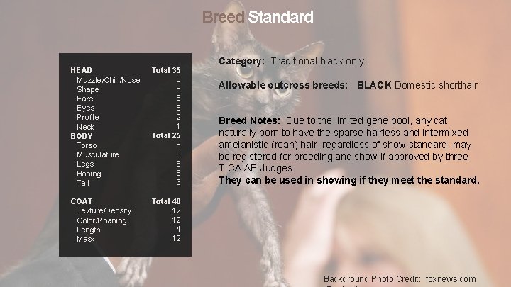 Breed Standard Total 35 HEAD Muzzle/Chin/Nose 8 8 Shape Ears 8 Eyes 8 2