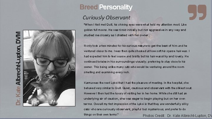 Breed Personality Curiously Observant "When I first met Quill, his shining eyes were what