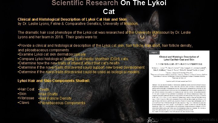 Scientific Research On The Lykoi Cat Clinical and Histological Description of Lykoi Cat Hair