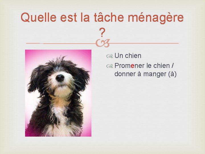 Quelle est la tâche ménagère ? Un chien Promener le chien / donner à