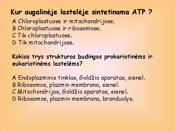 Kur augalinėje lastelėje sintetinama ATP ? A Chloroplastuose ir mitochondrijose. B Chloroplastuose ir ribosomose.