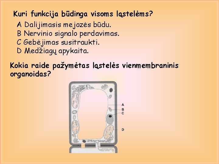 Kuri funkcija būdinga visoms ląstelėms? A Dalijimasis mejozės būdu. B Nervinio signalo perdavimas. C