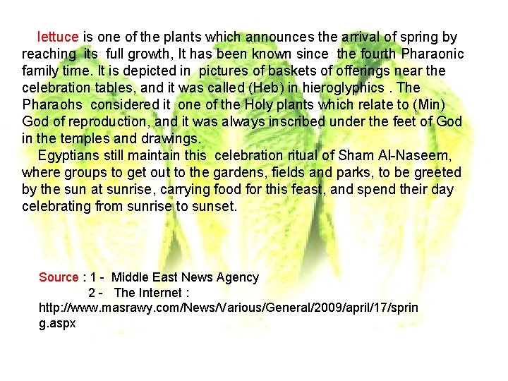 lettuce is one of the plants which announces the arrival of spring by reaching