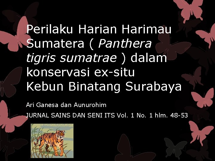 Perilaku Harian Harimau Sumatera Panthera Tigris Sumatrae Dalam