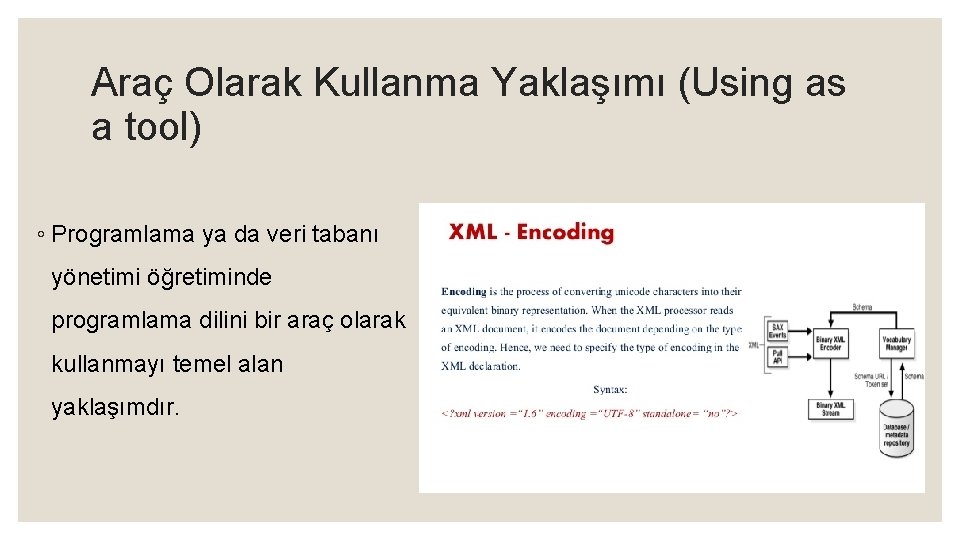 Araç Olarak Kullanma Yaklaşımı (Using as a tool) ◦ Programlama ya da veri tabanı