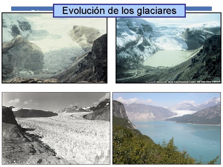 Evolución de los glaciares Observación. Fuentes de información 