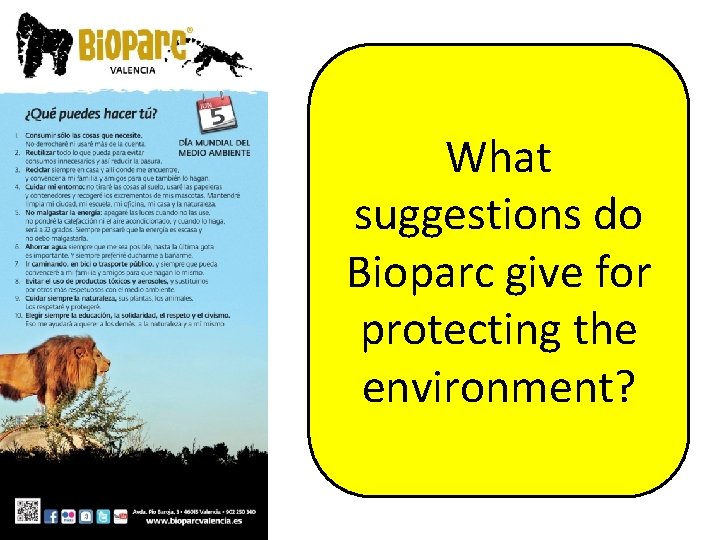 What suggestions do Bioparc give for protecting the environment? 