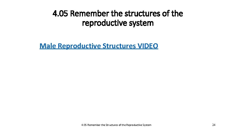 4. 05 Remember the structures of the reproductive system Male Reproductive Structures VIDEO 4.