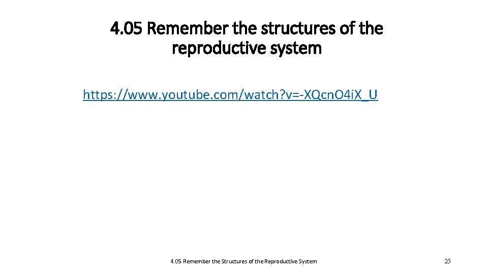 4. 05 Remember the structures of the reproductive system https: //www. youtube. com/watch? v=-XQcn.