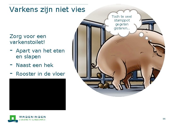 Varkens zijn niet vies Toch te veel stamppot gegeten gisteren… Zorg voor een varkenstoilet!